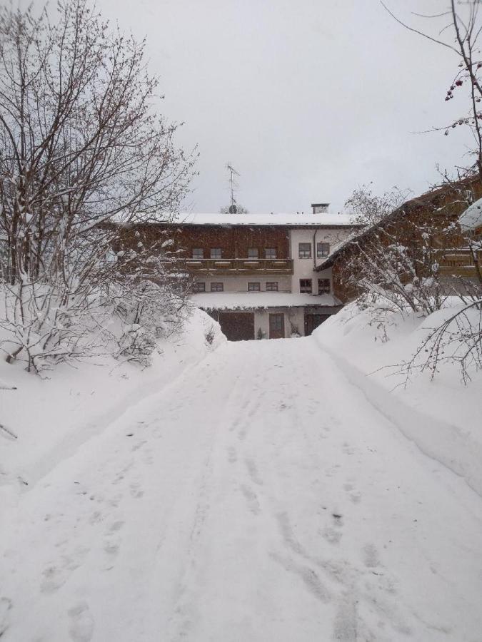 Pension Egner-Riess Arnbruck Kültér fotó